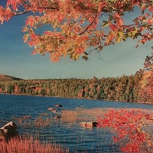 Meet your Posher, Janine